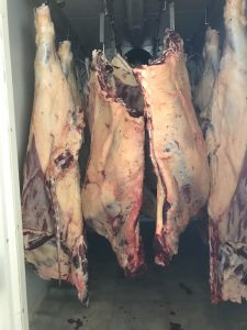 Beef Quarters