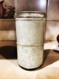Sour dough starter