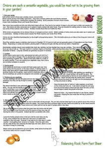 onion growing fact sheet