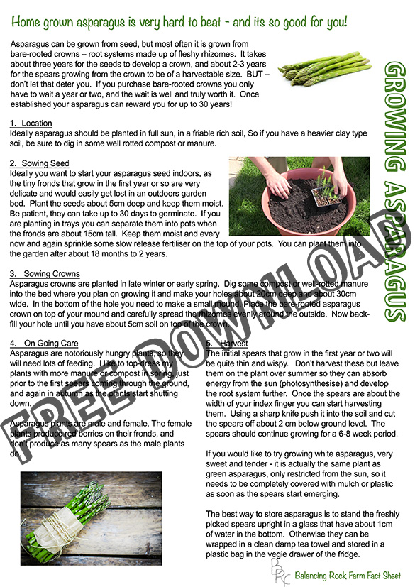 Growing asparagus fact sheet
